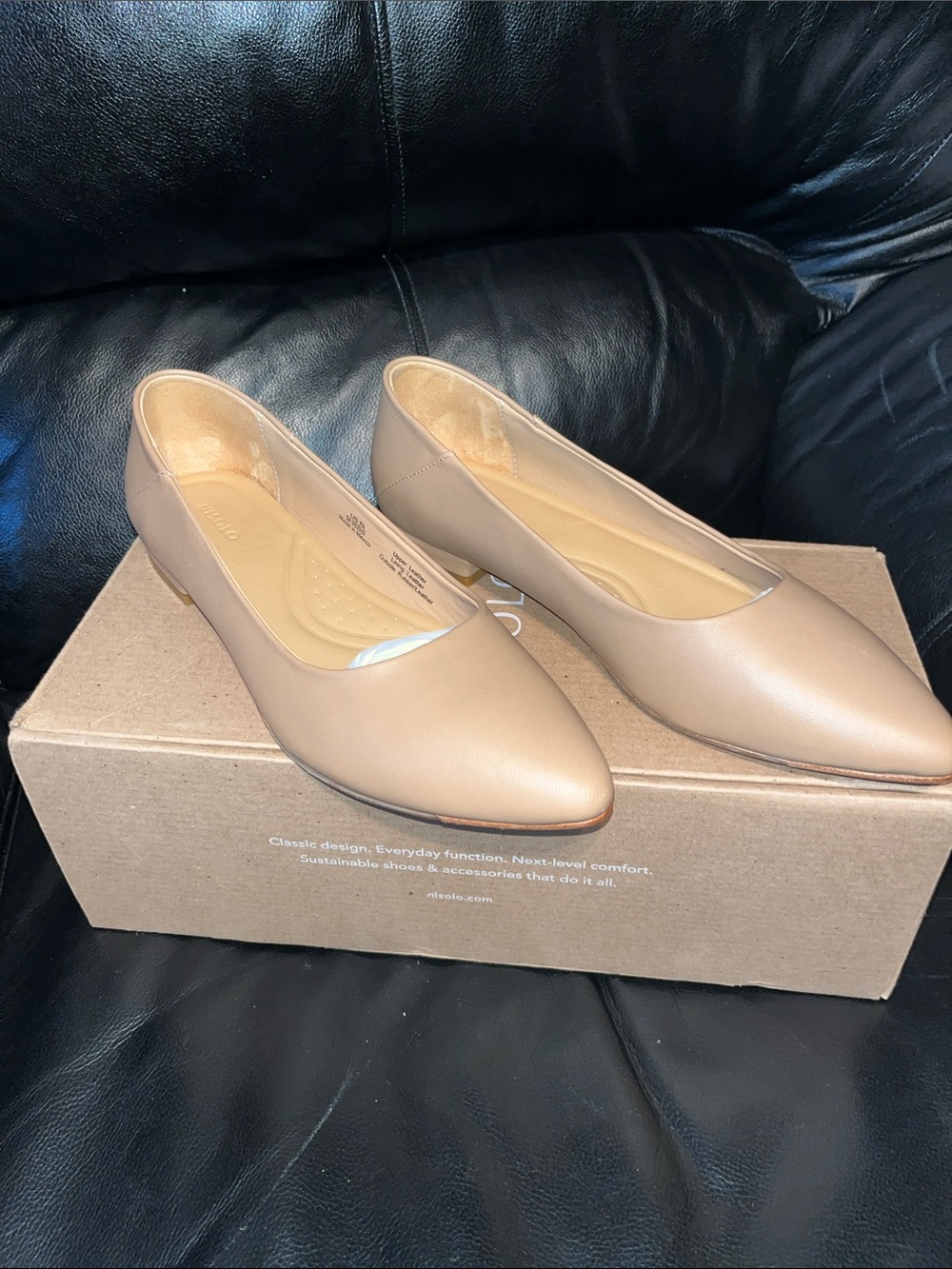 Nisolo Fina Pointed Toe Leather Flats – Almond/Taupe – NIB